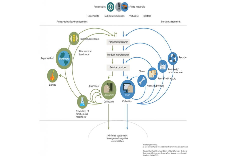 Schema dell’economia circolare: il “diagramma farfalla” da Ellen MacArthur Foundationwww.ellenmacarthurfoundation.org
